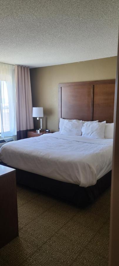 Comfort Inn Lexington Dış mekan fotoğraf