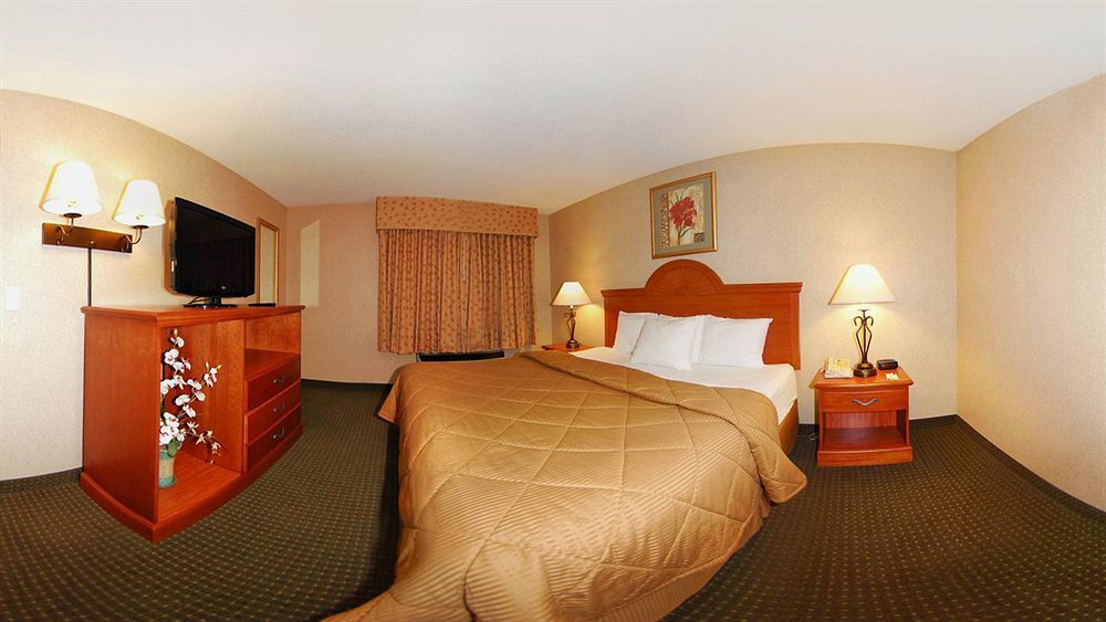 Comfort Inn Lexington Dış mekan fotoğraf